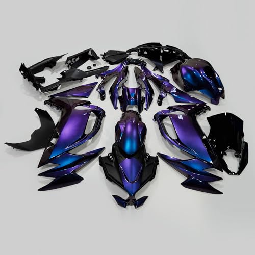 Amazon.com: ZXMOTO